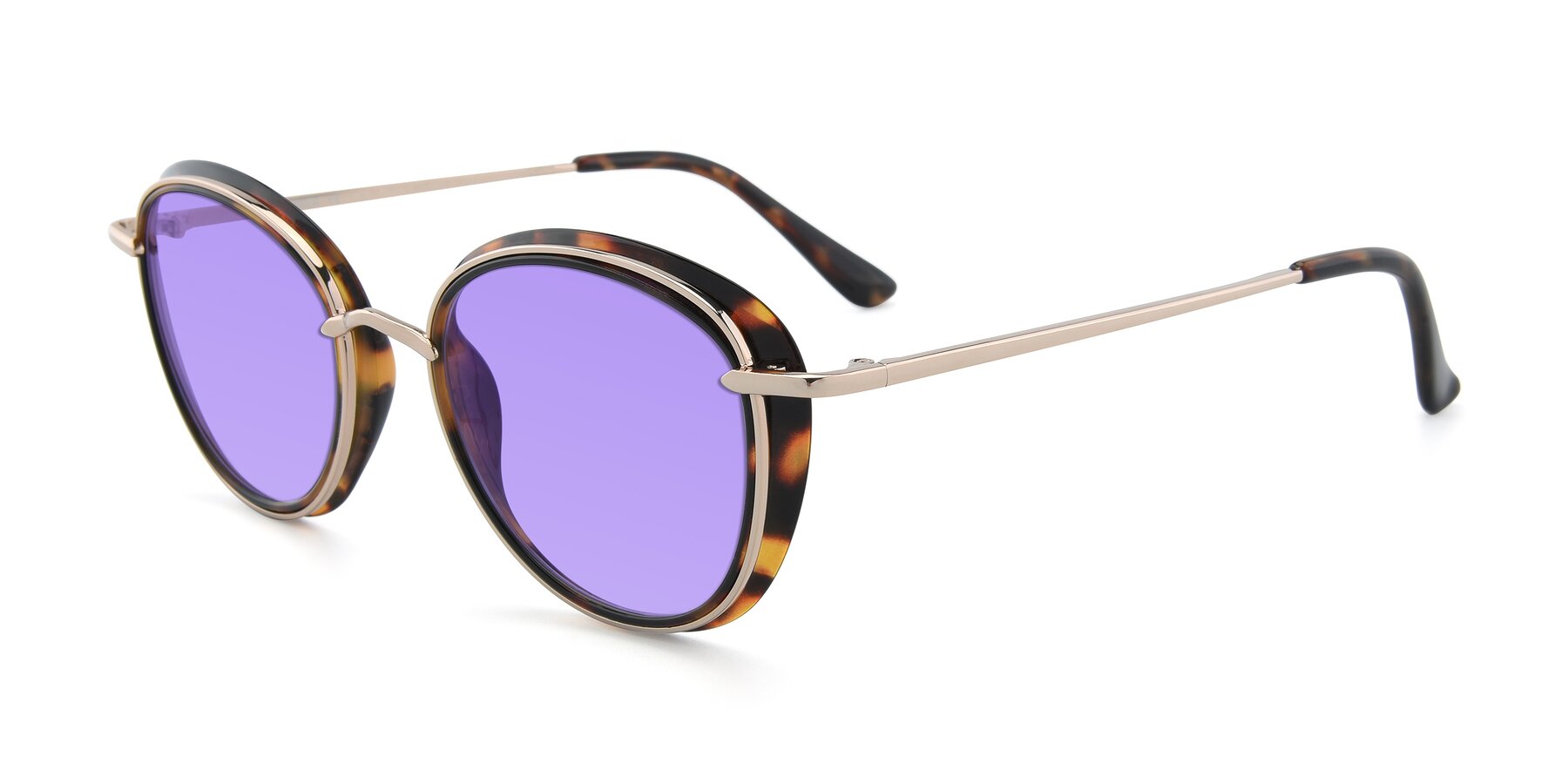 Angle of Cosmopolitan in Tortoise-Silver with Medium Purple Tinted Lenses