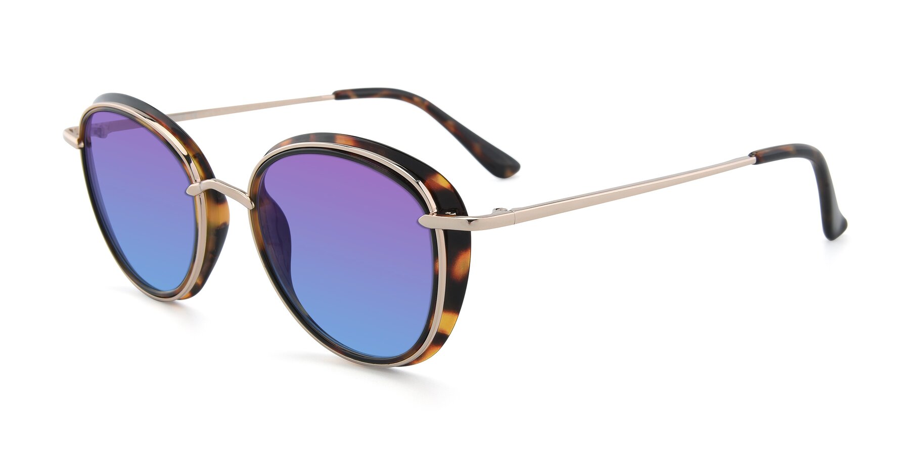 Angle of Cosmopolitan in Tortoise-Silver with Purple / Blue Gradient Lenses