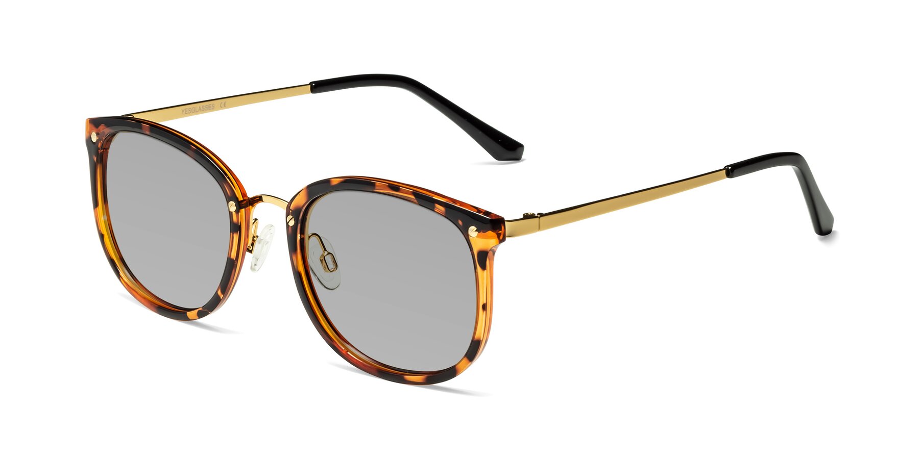 Angle of Timeless in Tortoise-Golden with Light Gray Tinted Lenses