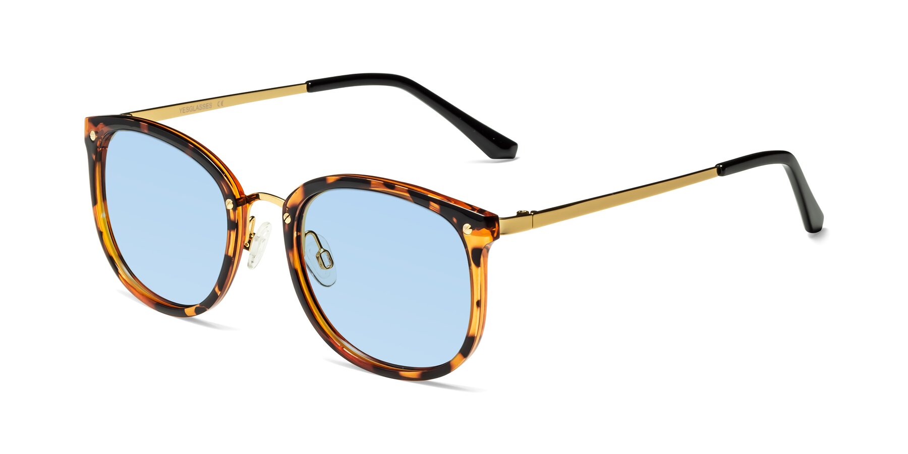 Angle of Timeless in Tortoise-Golden with Light Blue Tinted Lenses