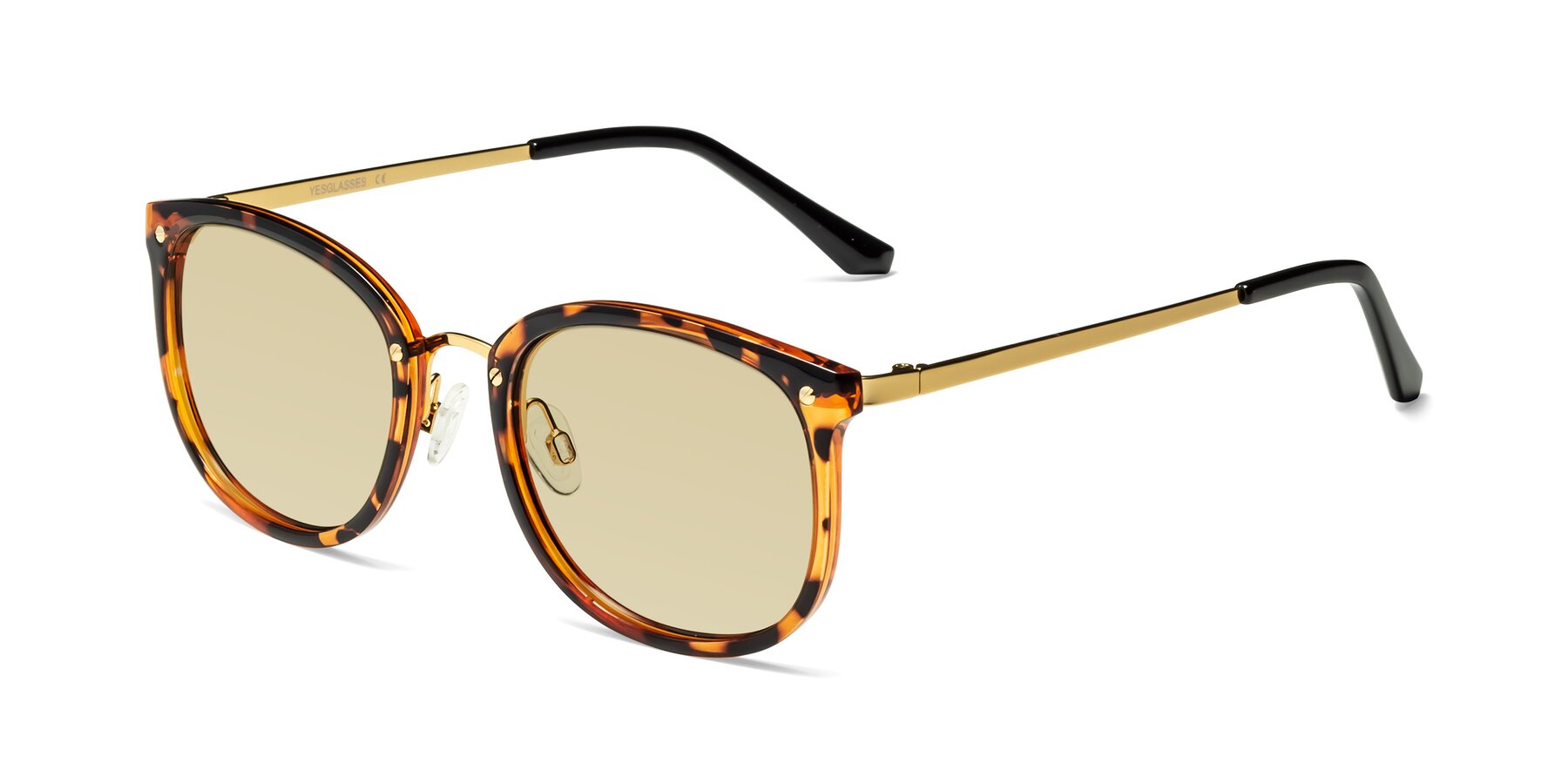 Angle of Timeless in Tortoise-Golden with Light Champagne Tinted Lenses