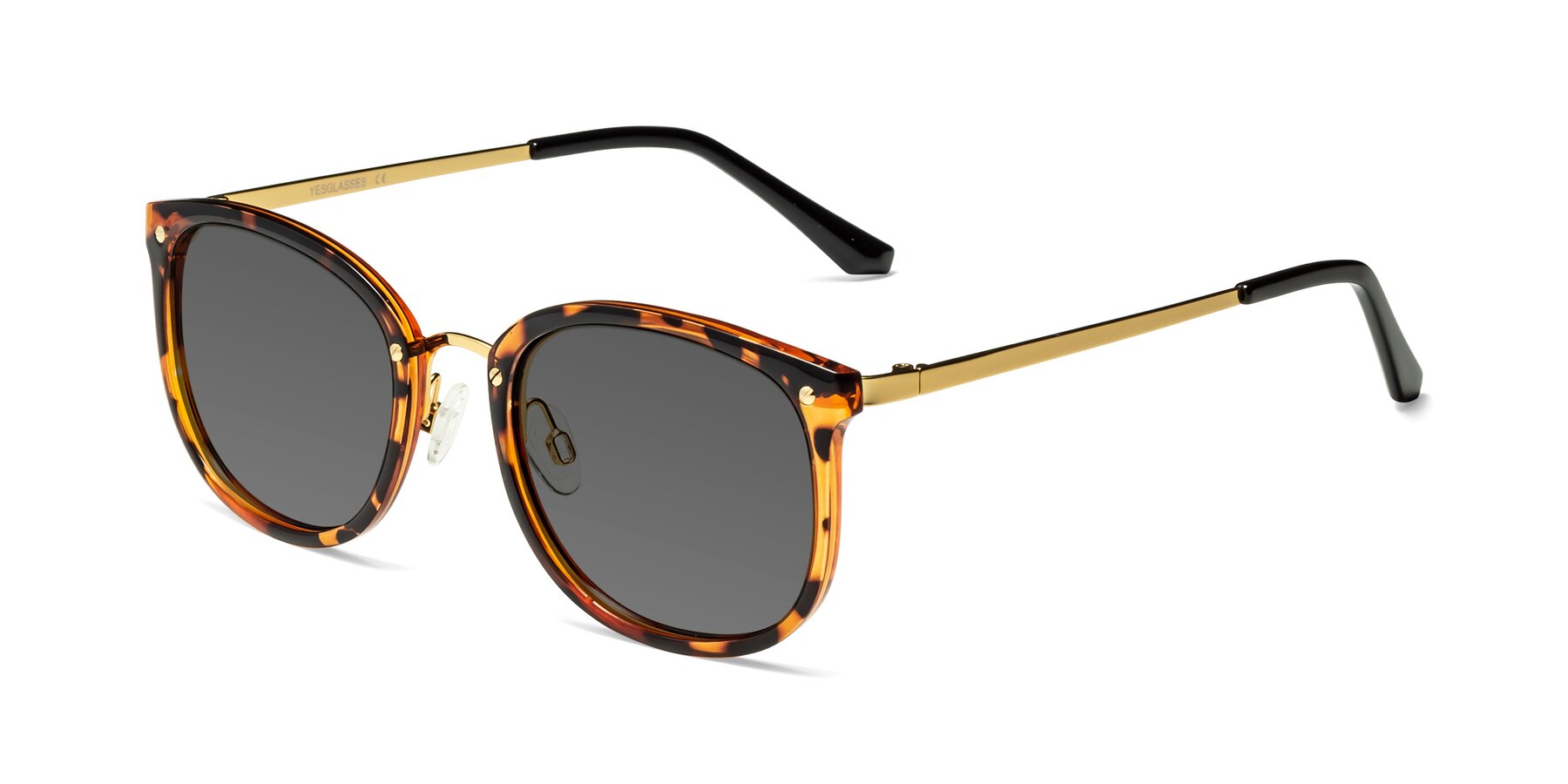 Angle of Timeless in Tortoise-Golden with Medium Gray Tinted Lenses