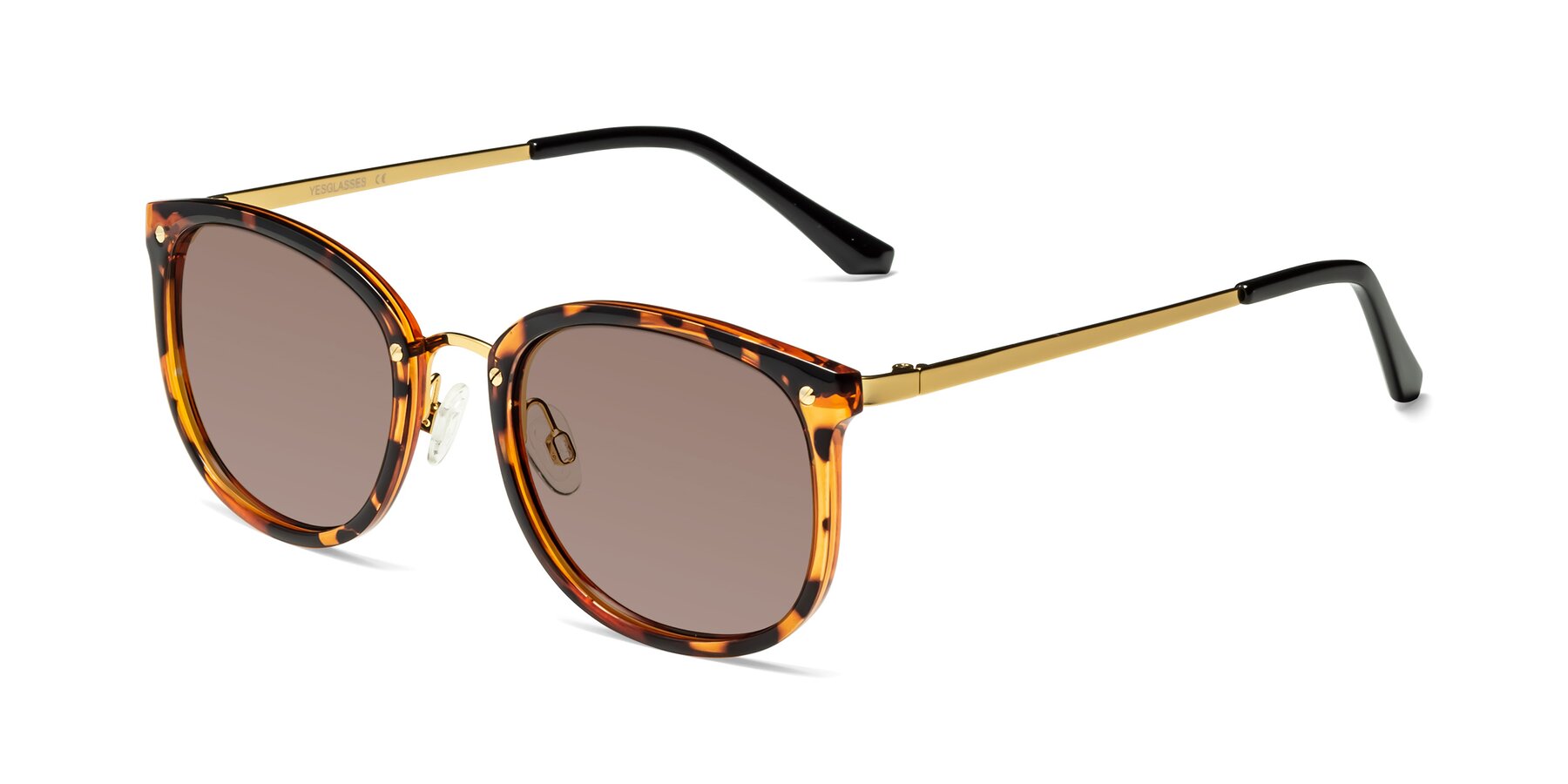 Angle of Timeless in Tortoise-Golden with Medium Brown Tinted Lenses