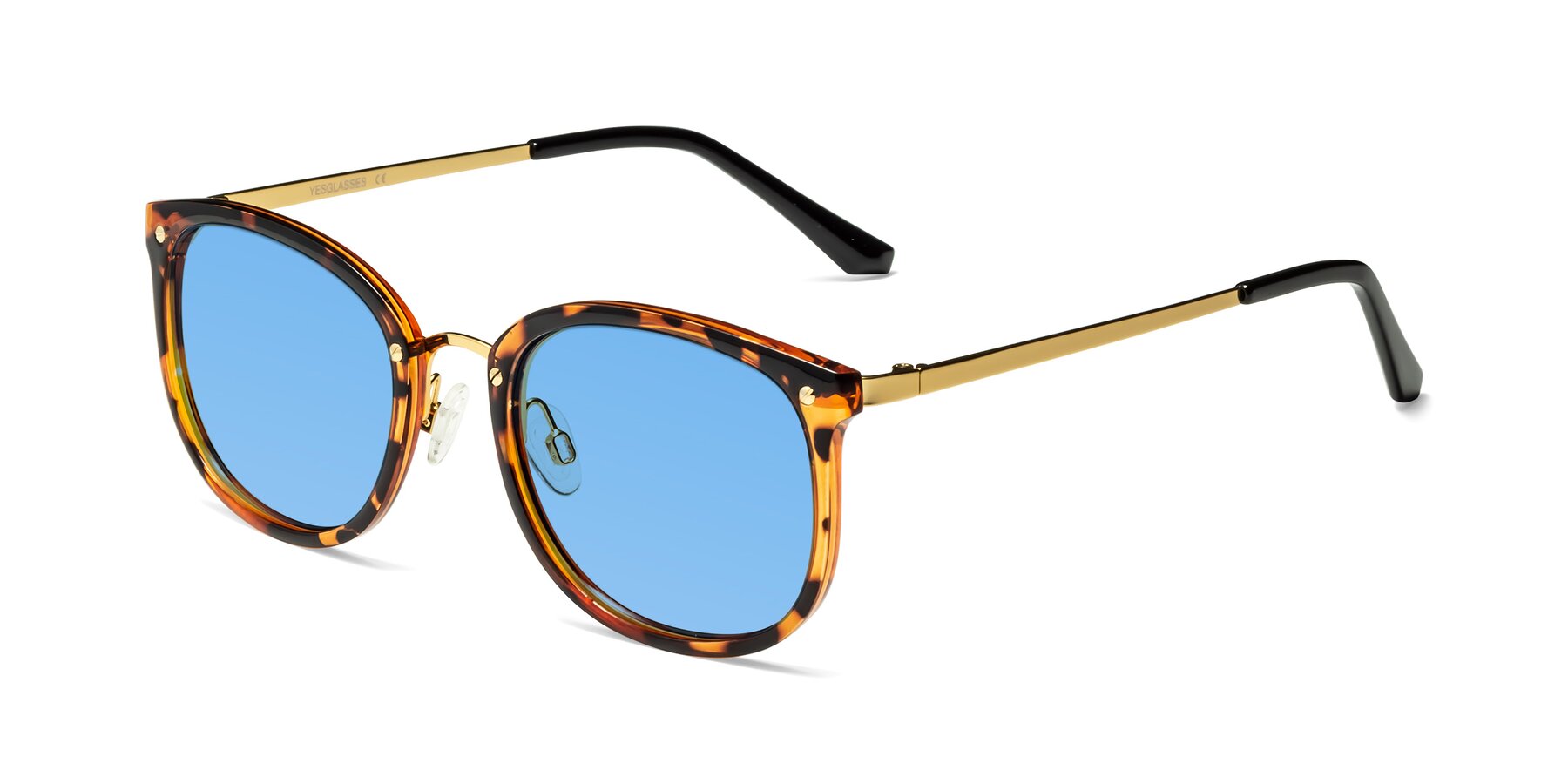 Angle of Timeless in Tortoise-Golden with Medium Blue Tinted Lenses