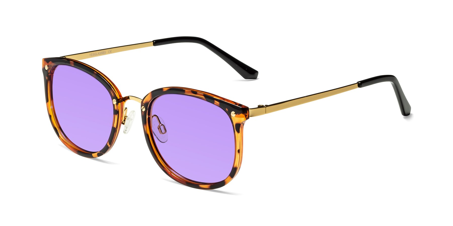 Angle of Timeless in Tortoise-Golden with Medium Purple Tinted Lenses