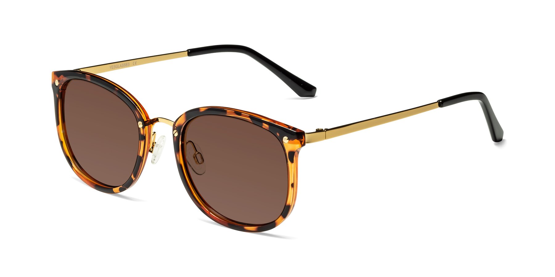 Angle of Timeless in Tortoise-Golden with Brown Tinted Lenses