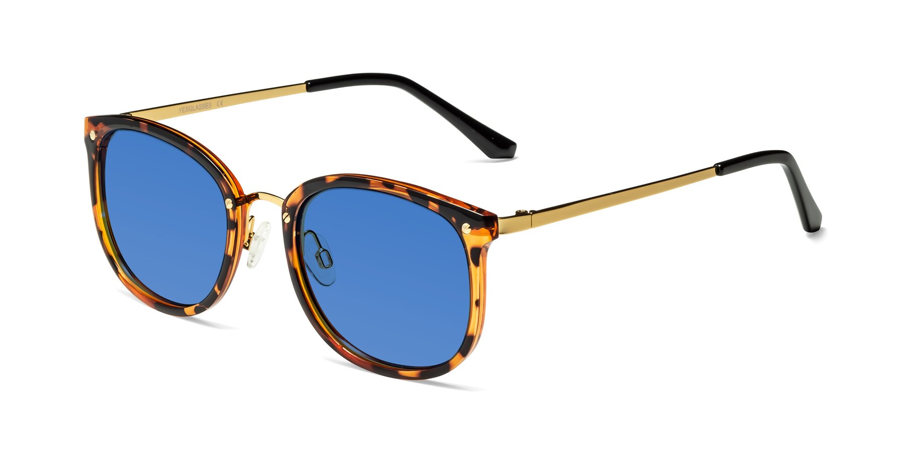 Angle of Timeless in Tortoise-Golden with Blue Tinted Lenses