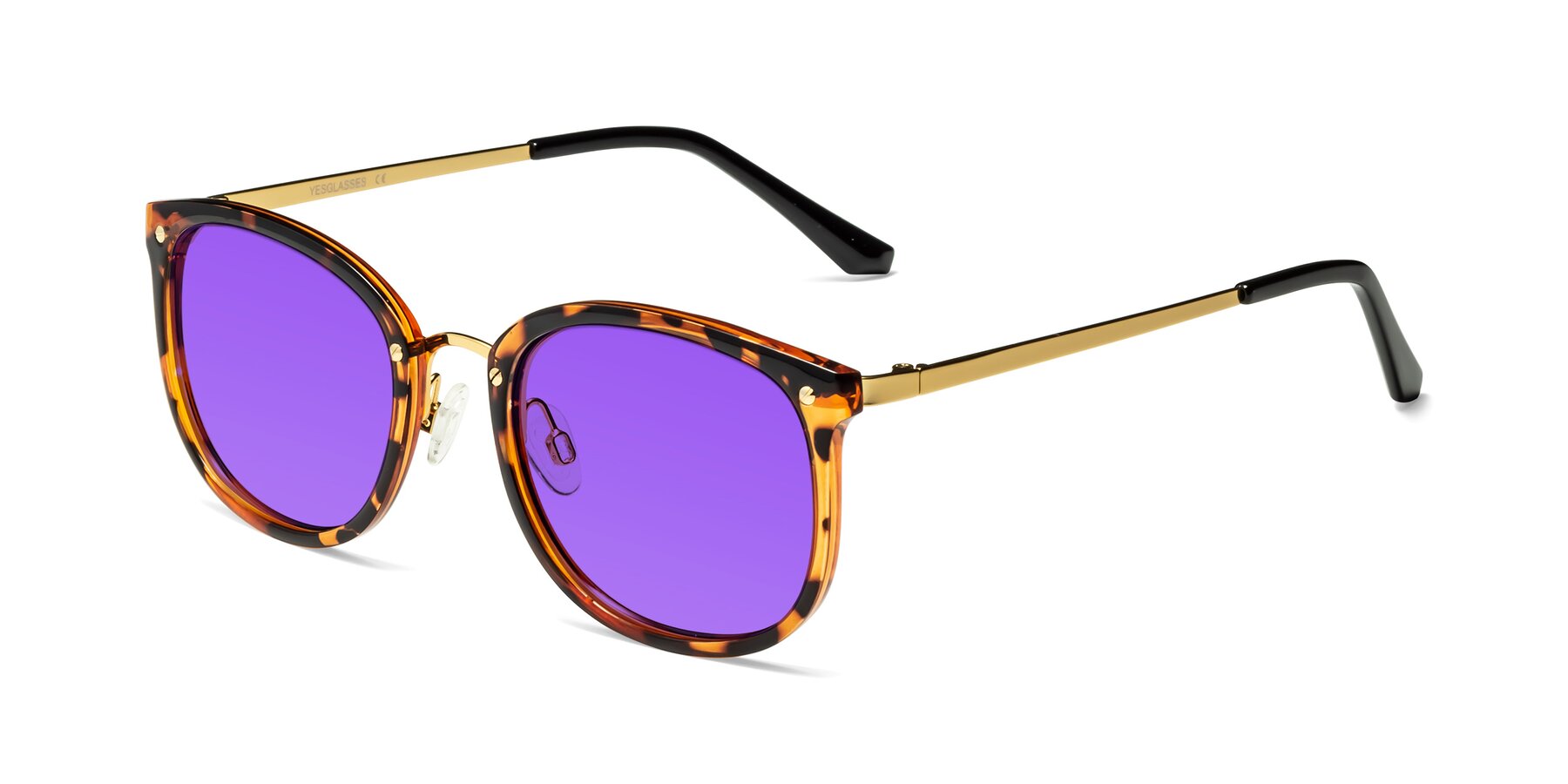 Angle of Timeless in Tortoise-Golden with Purple Tinted Lenses