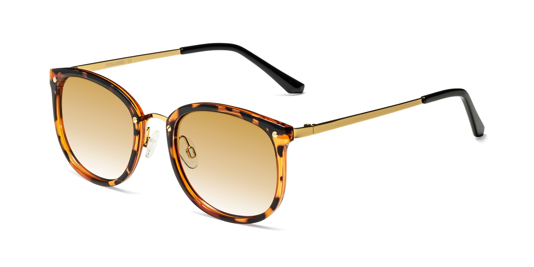Angle of Timeless in Tortoise-Golden with Champagne Gradient Lenses