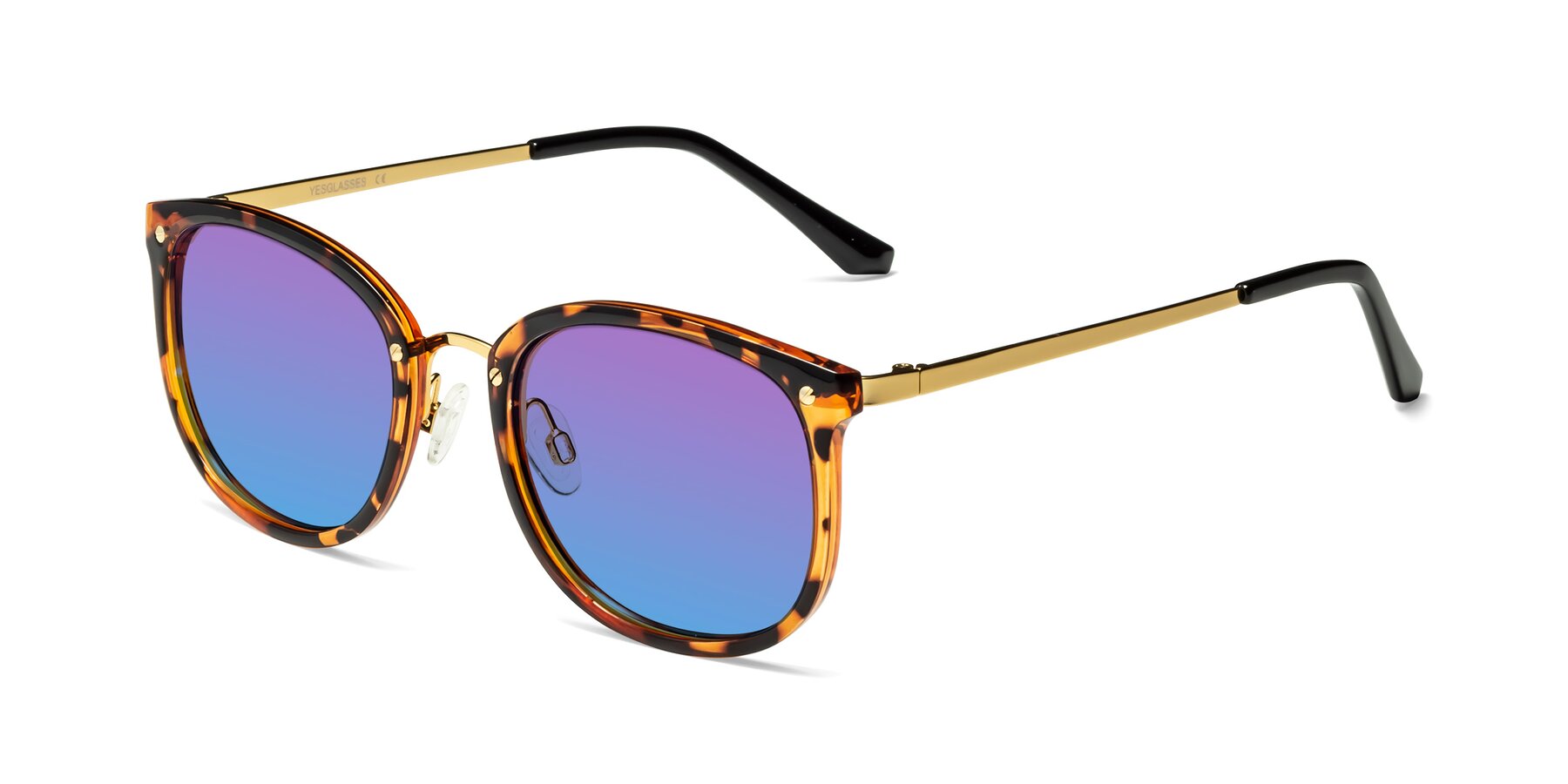 Angle of Timeless in Tortoise-Golden with Purple / Blue Gradient Lenses