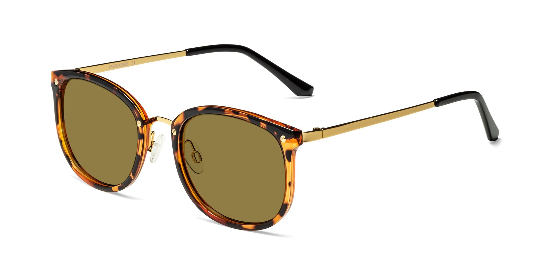 Angle of Timeless in Tortoise-Golden with Brown Polarized Lenses