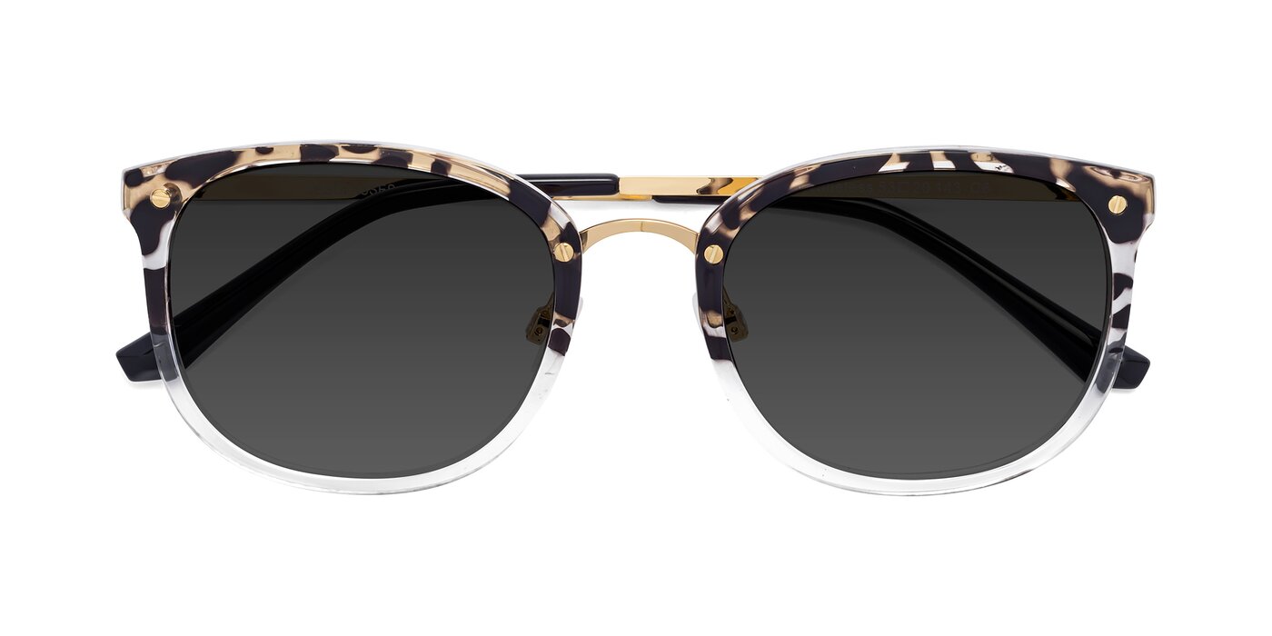 Timeless - Leopard-Print Tinted Sunglasses
