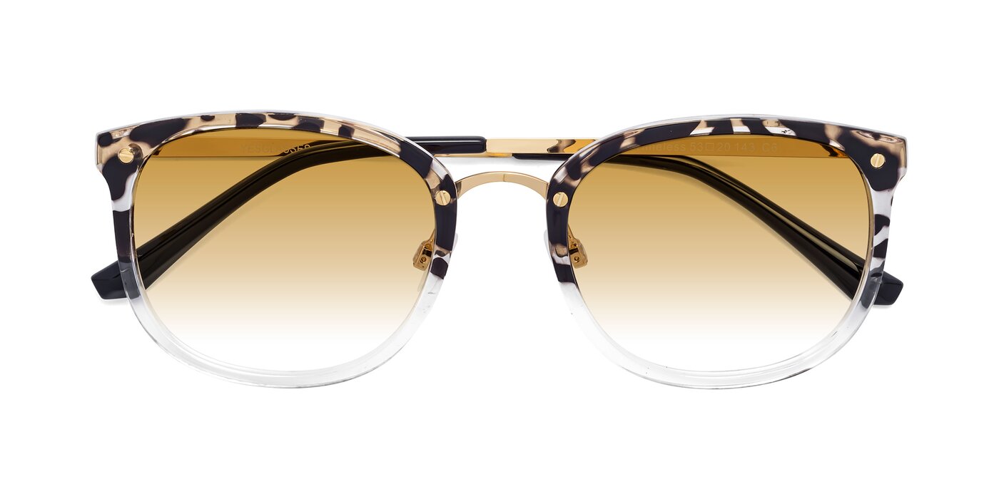 Timeless - Leopard-Print Gradient Sunglasses