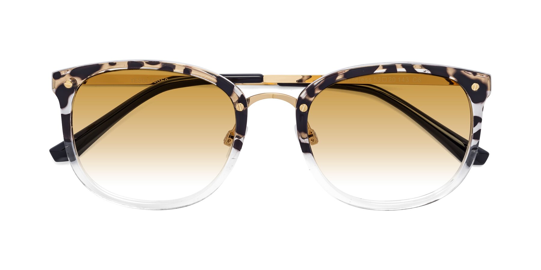 Folded Front of Timeless in Leopard-Print with Champagne Gradient Lenses