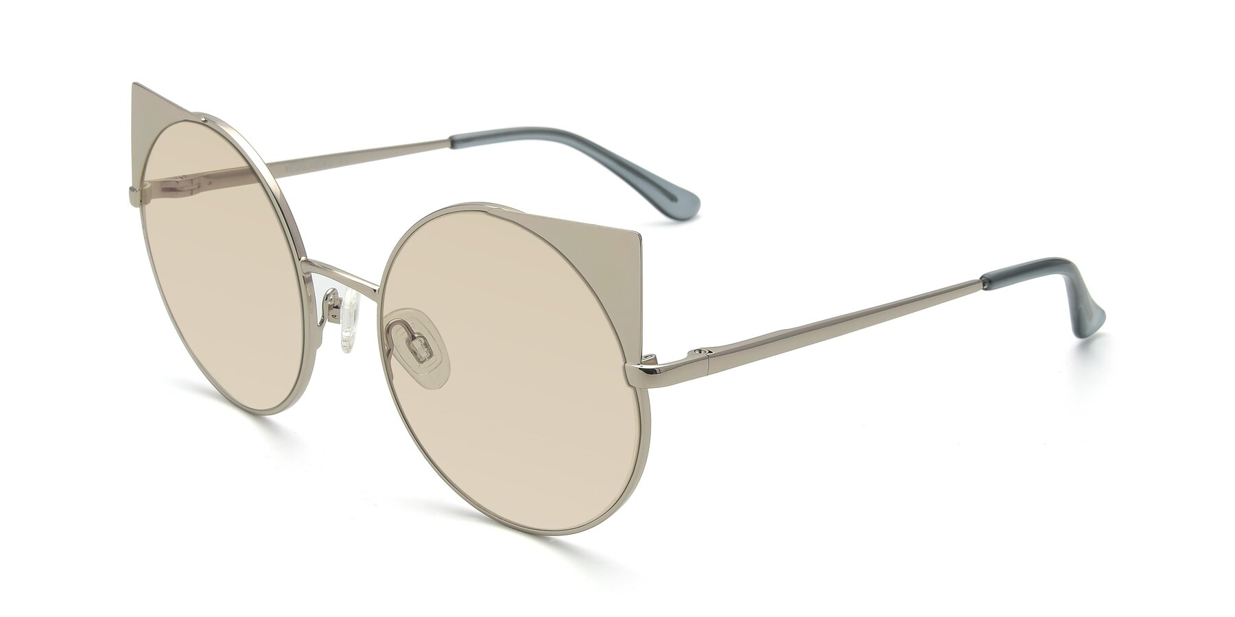 Angle of SSR1955 in Silver with Light Brown Tinted Lenses