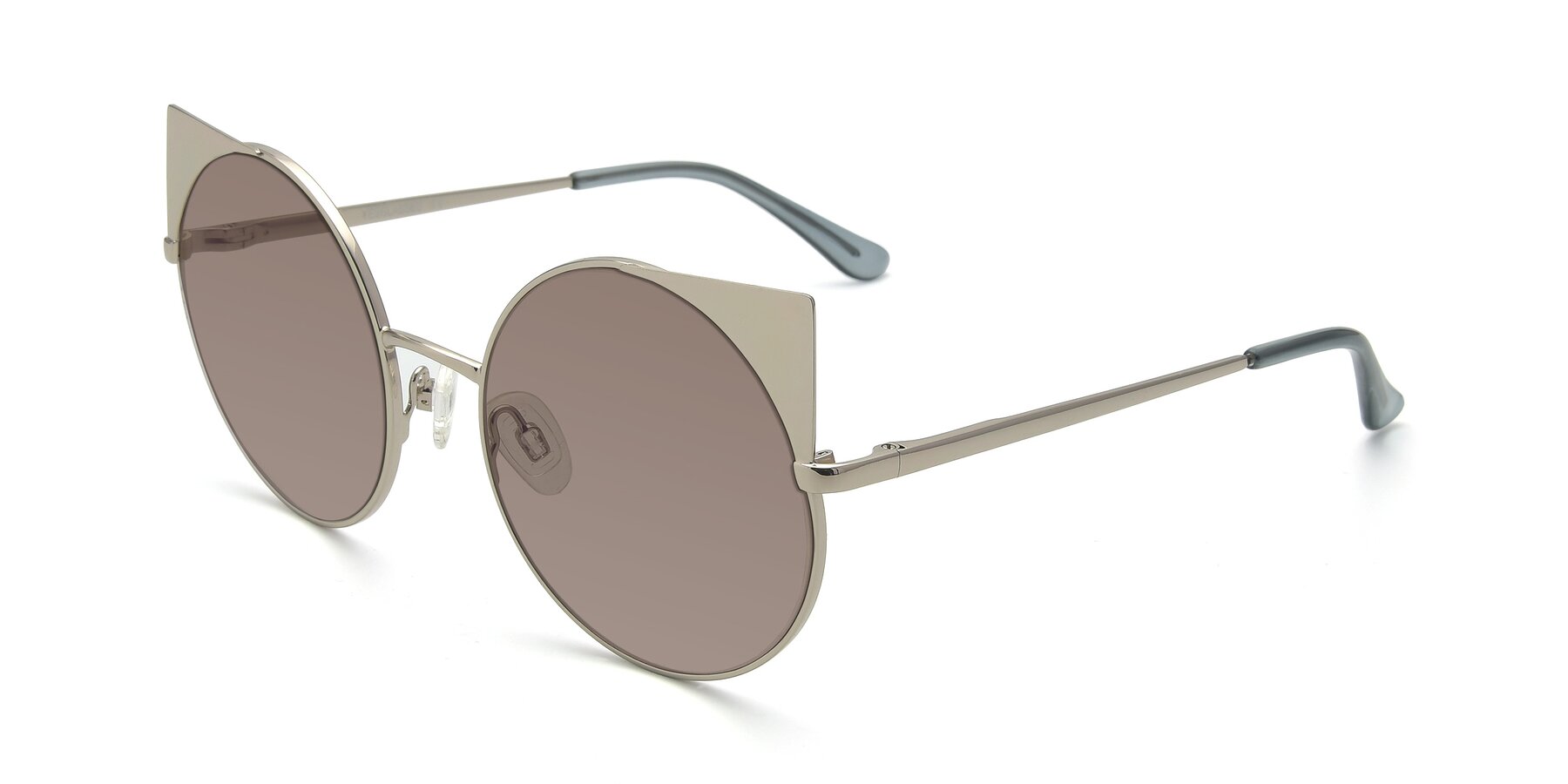 Angle of SSR1955 in Silver with Medium Brown Tinted Lenses
