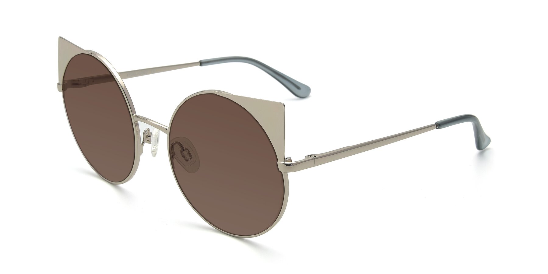 Angle of SSR1955 in Silver with Brown Tinted Lenses