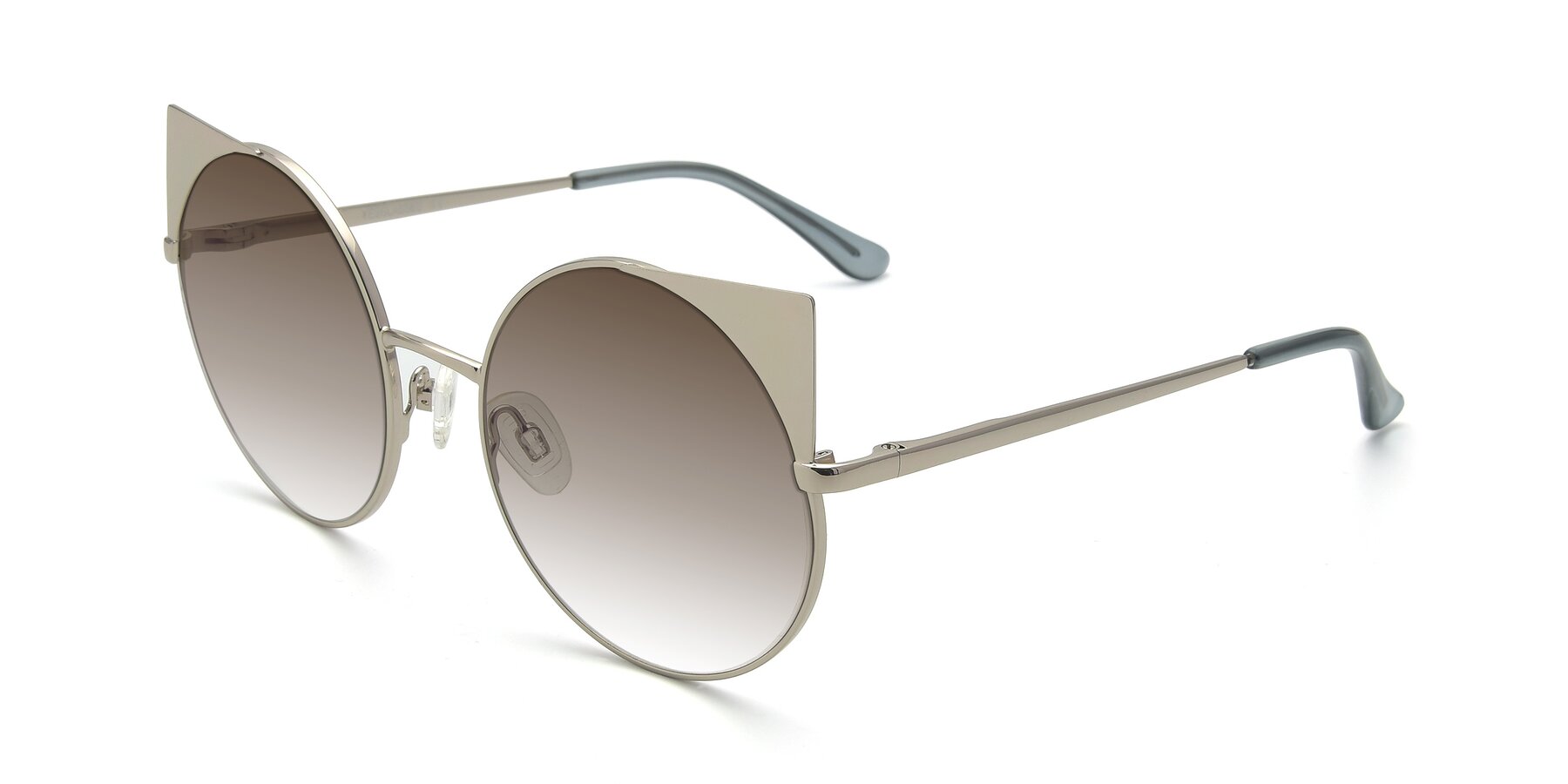 Angle of SSR1955 in Silver with Brown Gradient Lenses