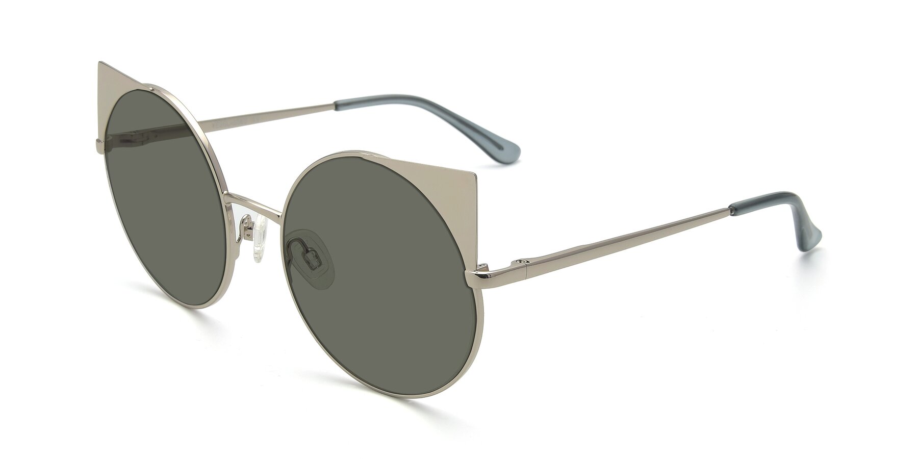 Angle of SSR1955 in Silver with Gray Polarized Lenses