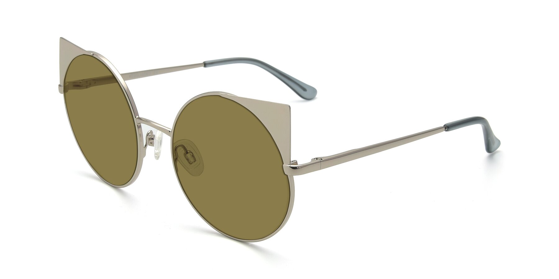 Angle of SSR1955 in Silver with Brown Polarized Lenses