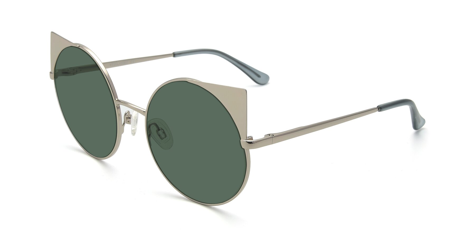 Angle of SSR1955 in Silver with Green Polarized Lenses