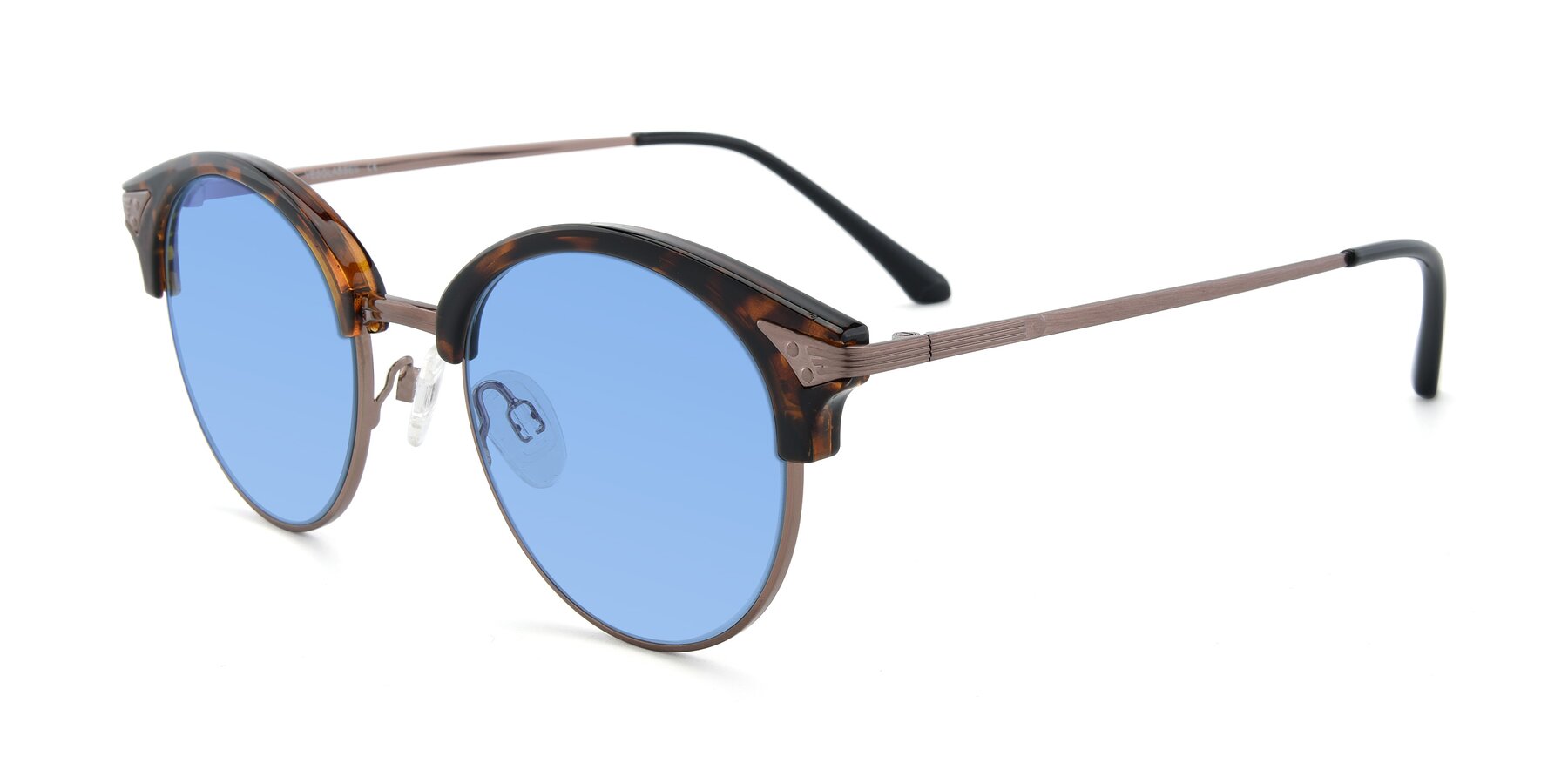 Angle of Hermione in Tortoise-Brown with Medium Blue Tinted Lenses