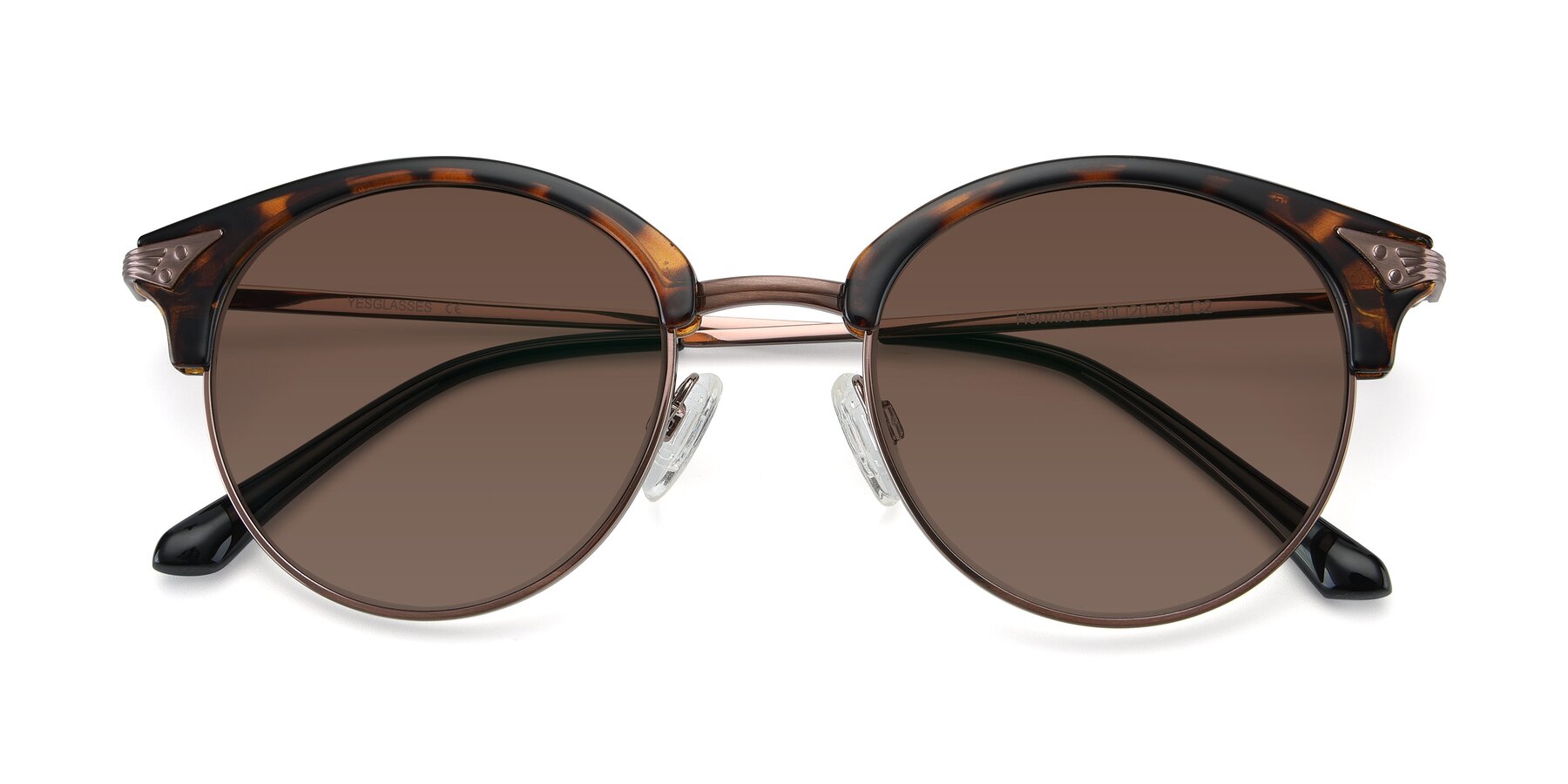 Folded Front of Hermione in Tortoise-Brown with Brown Tinted Lenses