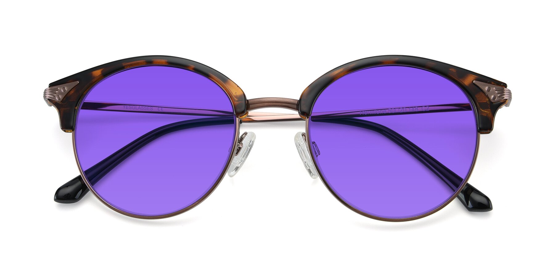 Folded Front of Hermione in Tortoise-Brown with Purple Tinted Lenses