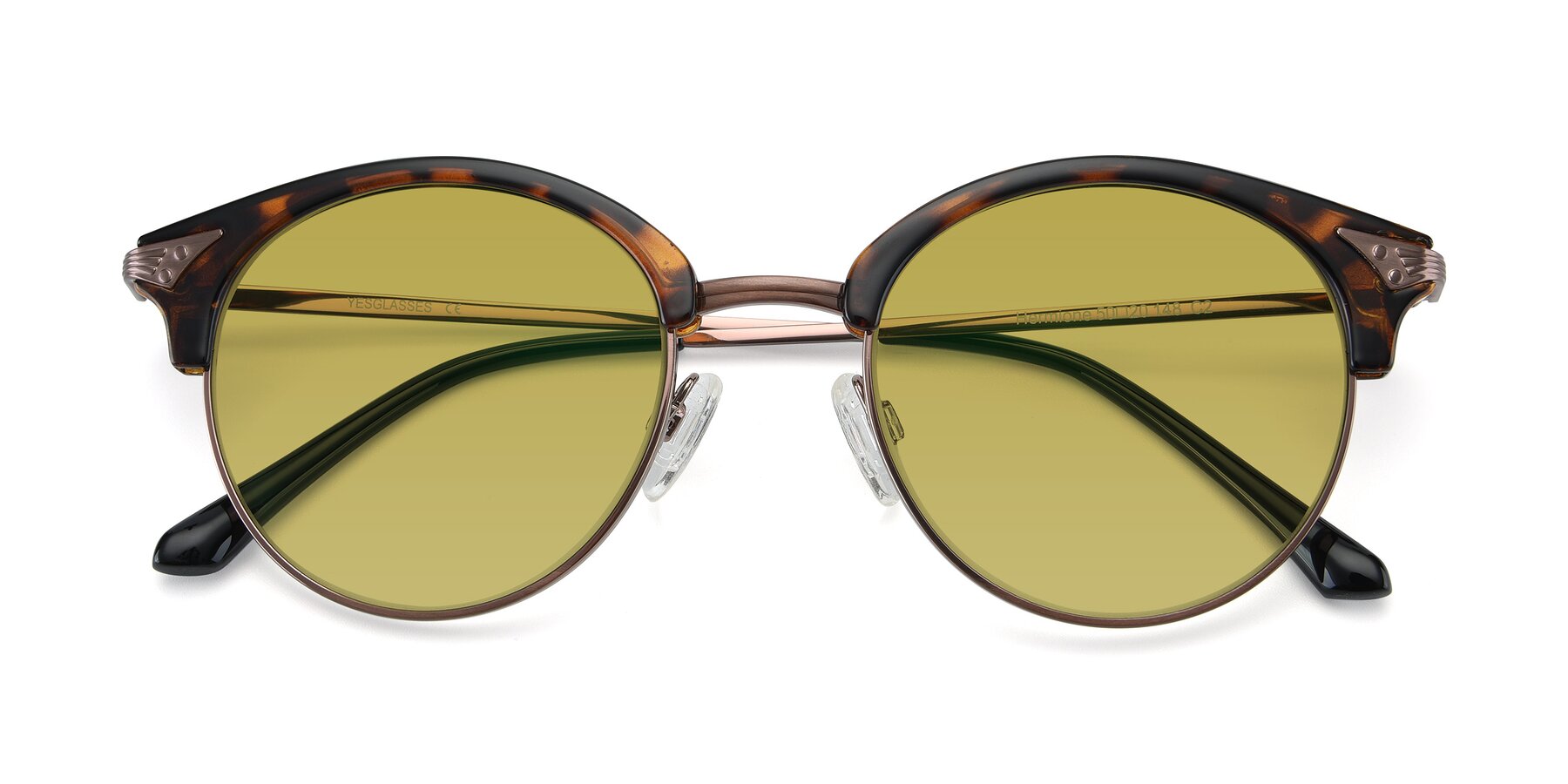 Folded Front of Hermione in Tortoise-Brown with Champagne Tinted Lenses