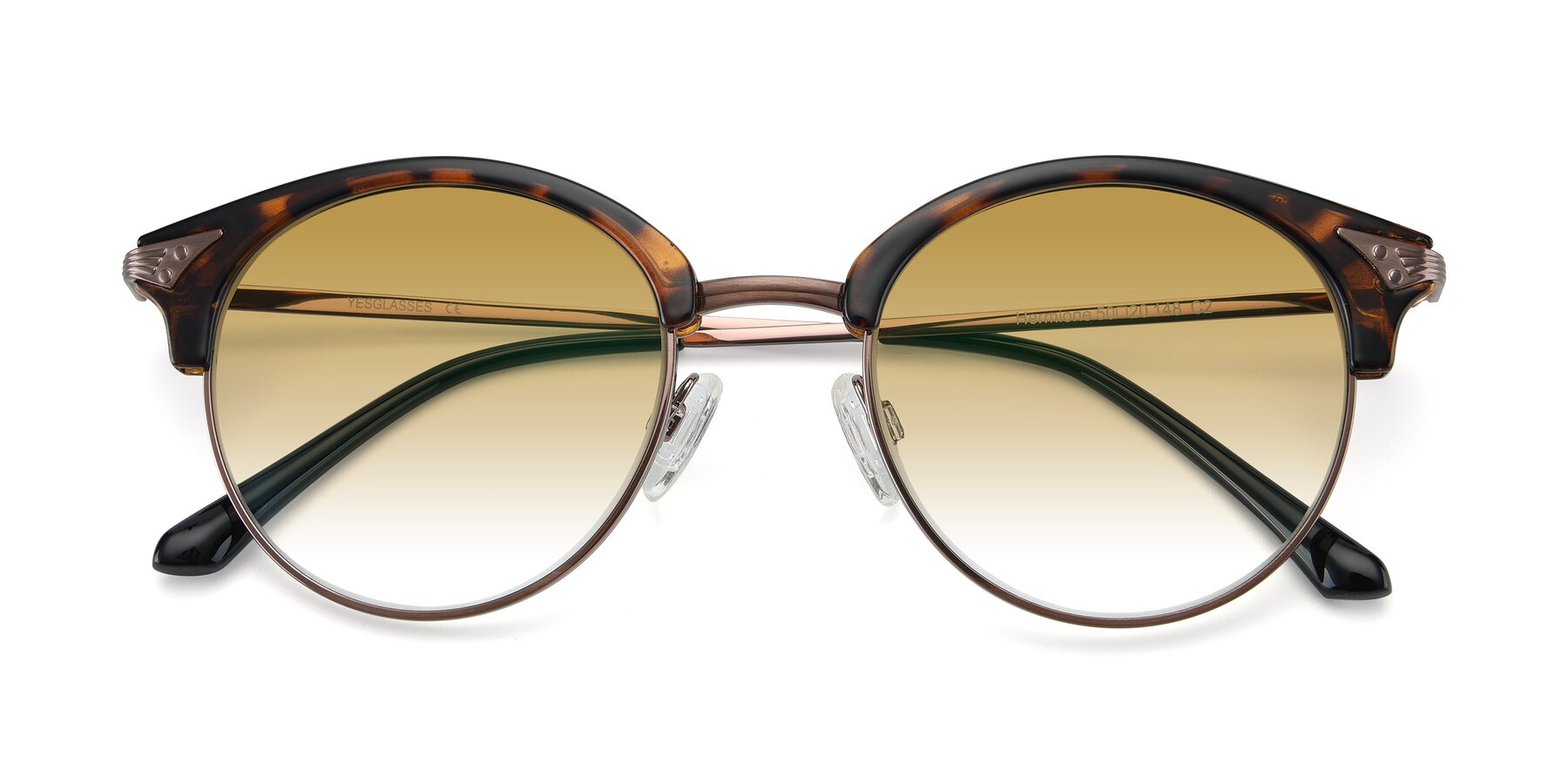 Folded Front of Hermione in Tortoise-Brown with Champagne Gradient Lenses