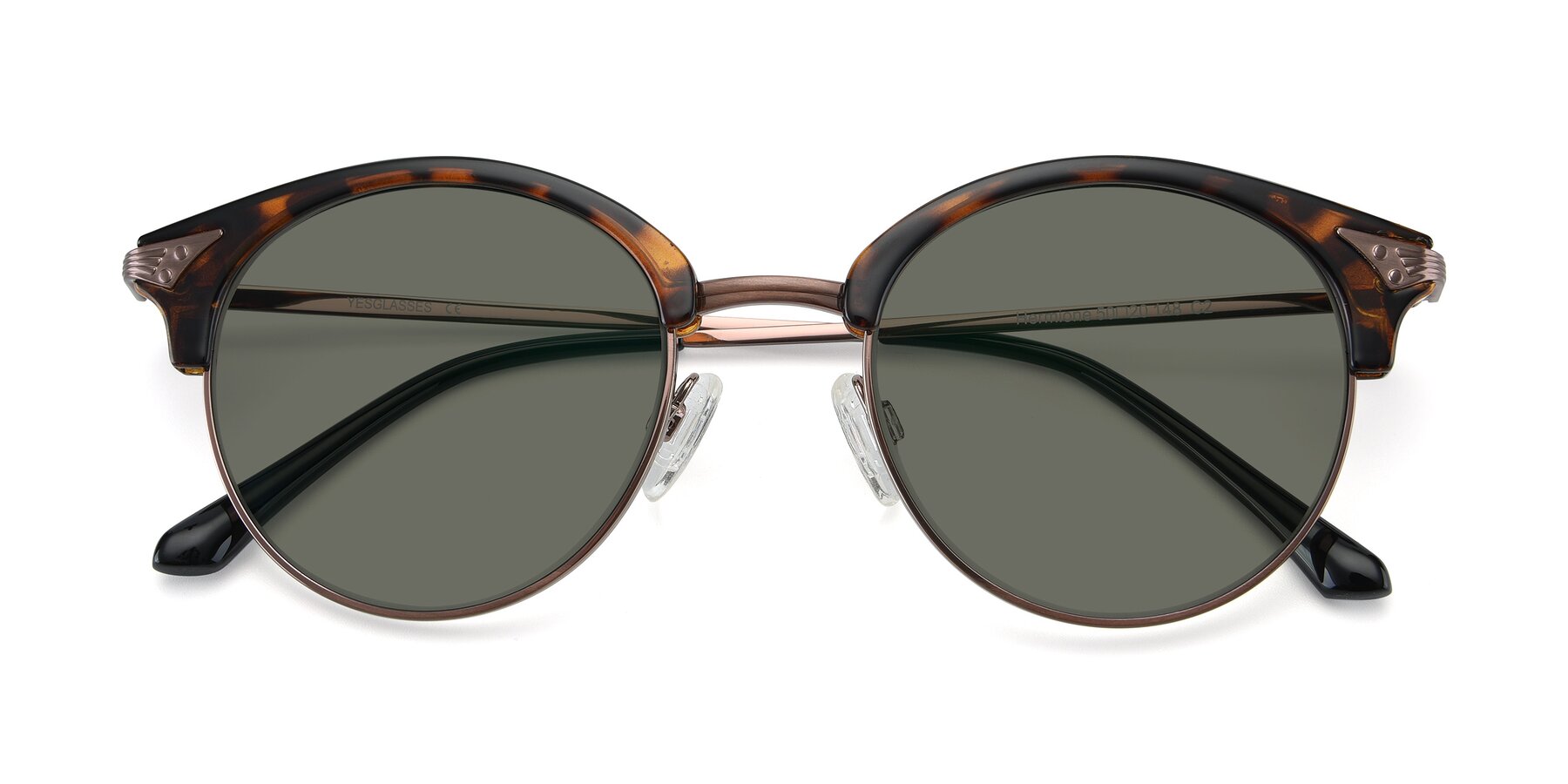 Folded Front of Hermione in Tortoise-Brown with Gray Polarized Lenses