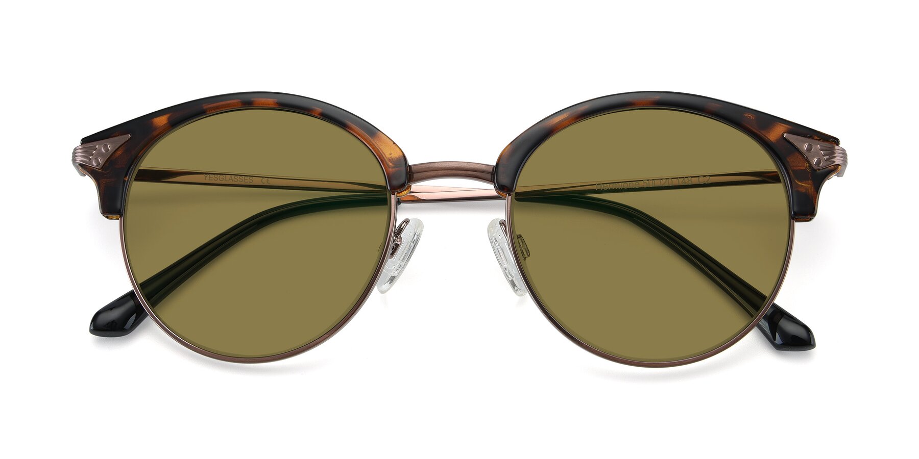 Folded Front of Hermione in Tortoise-Brown with Brown Polarized Lenses