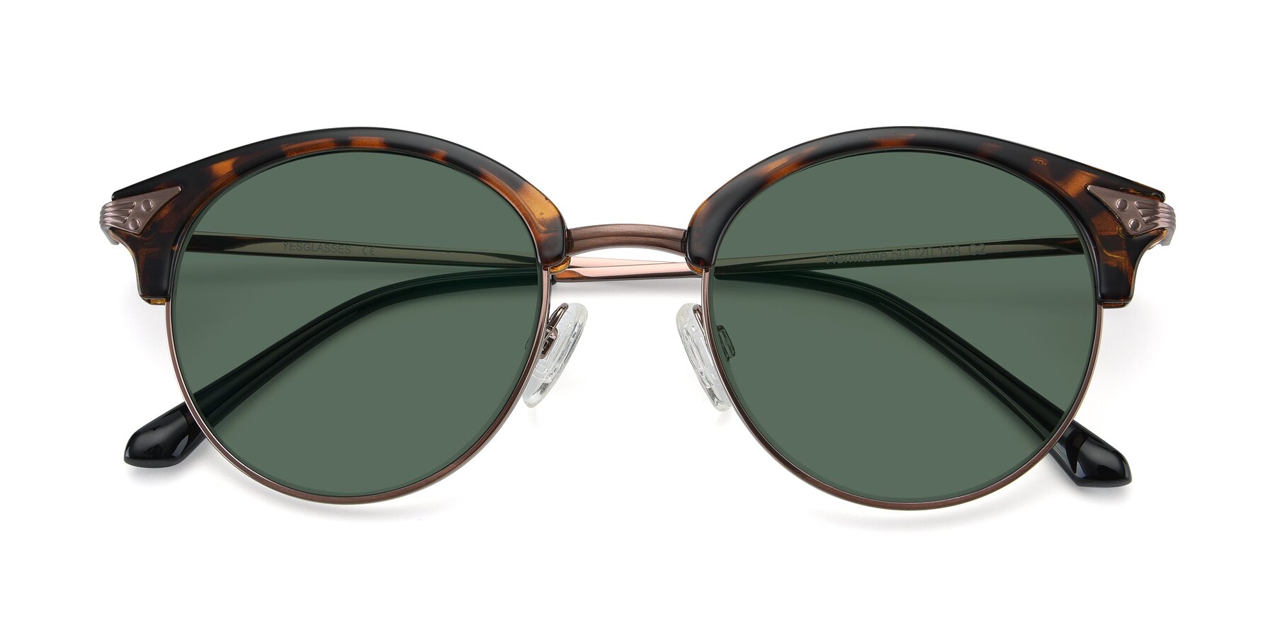 Folded Front of Hermione in Tortoise-Brown with Green Polarized Lenses