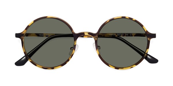 Front of Lemon in Tortoise