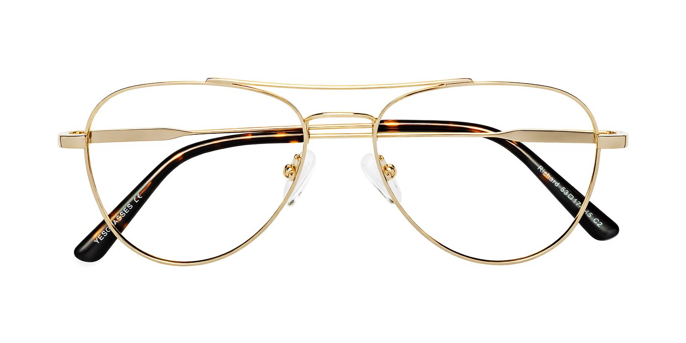 Richard - Gold Eyeglasses