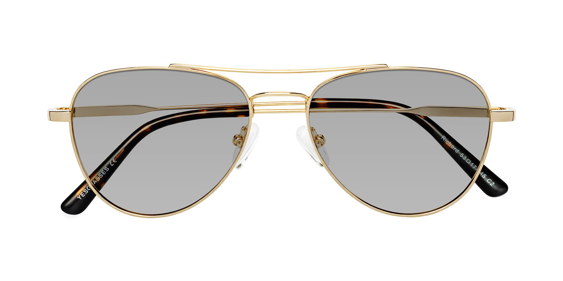 Folded Front of Richard in Gold with Light Gray Tinted Lenses