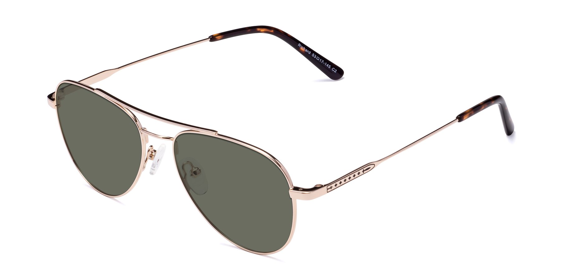 Angle of Richard in Gold with Gray Polarized Lenses