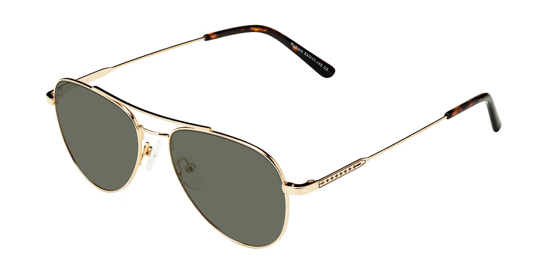 Angle of Richard in Gold with Gray Polarized Lenses