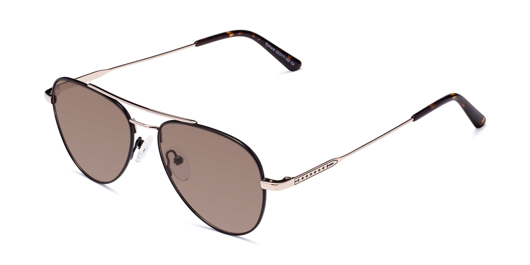 Angle of Richard in Black-Gold with Medium Brown Tinted Lenses