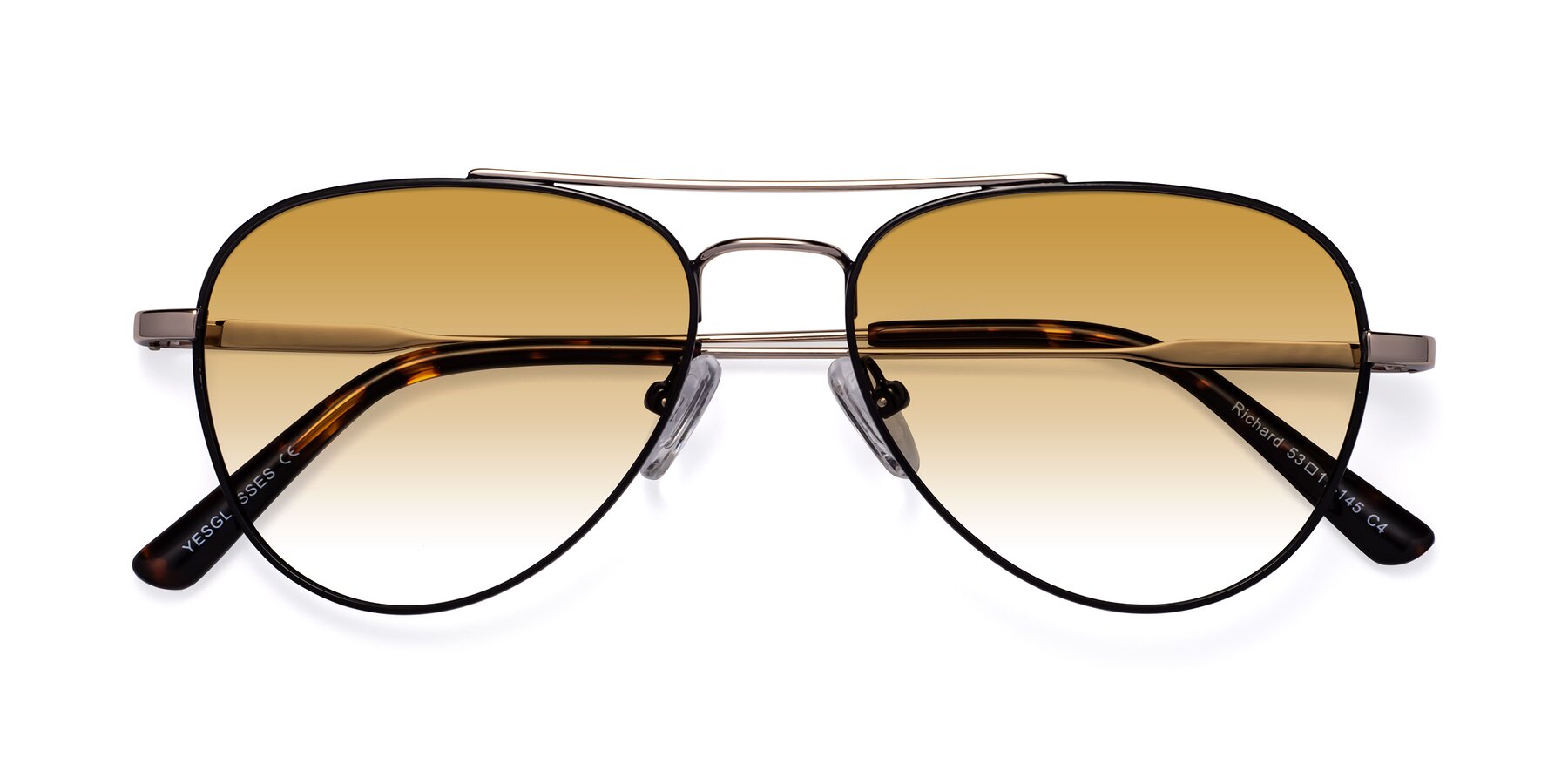 Folded Front of Richard in Black-Gold with Champagne Gradient Lenses
