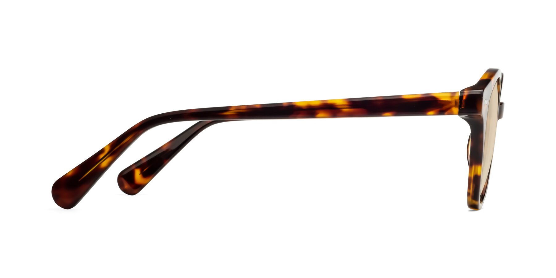 Side of Bellion in Tortoise with Light Brown Tinted Lenses