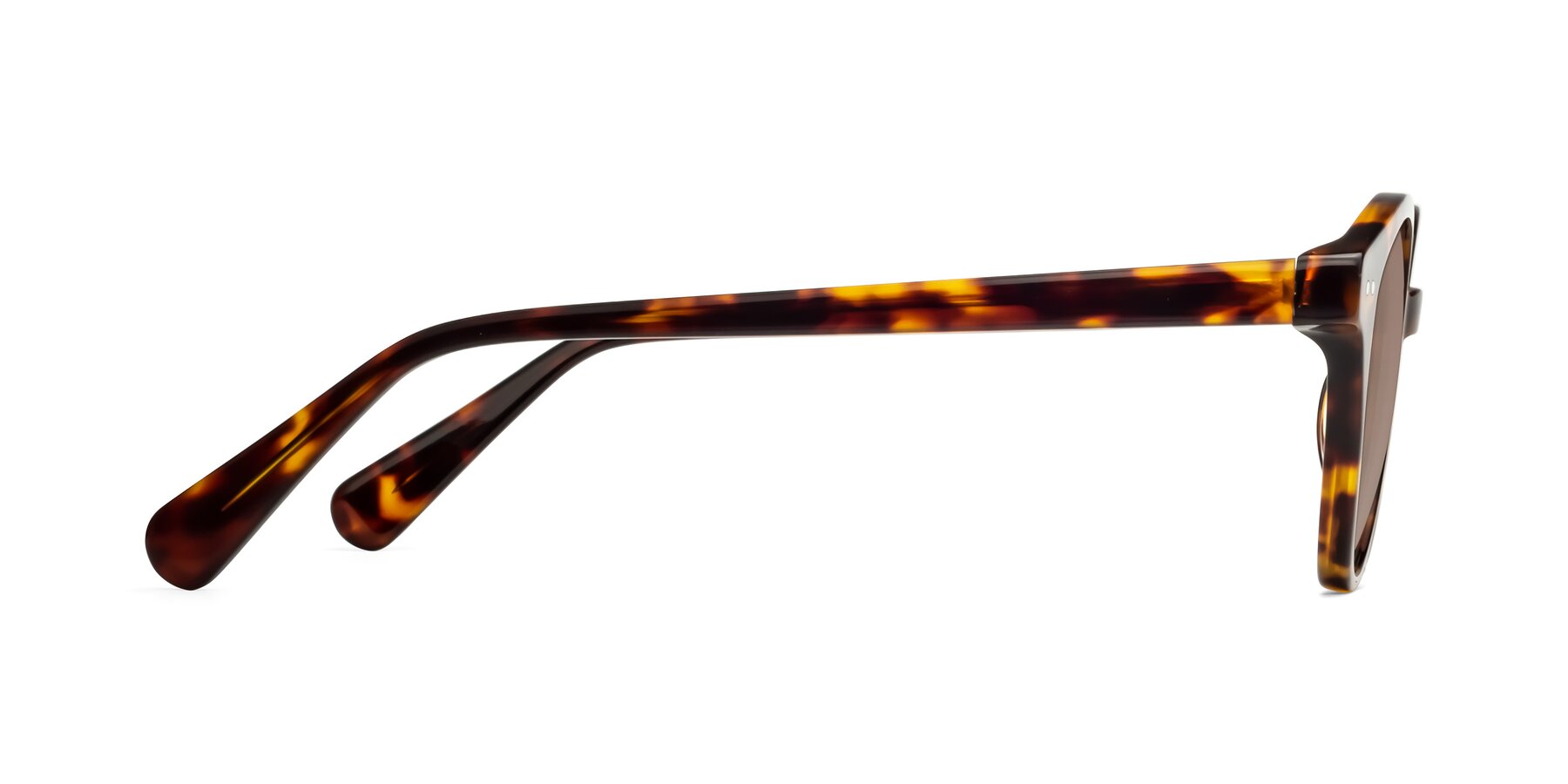 Side of Bellion in Tortoise with Medium Brown Tinted Lenses