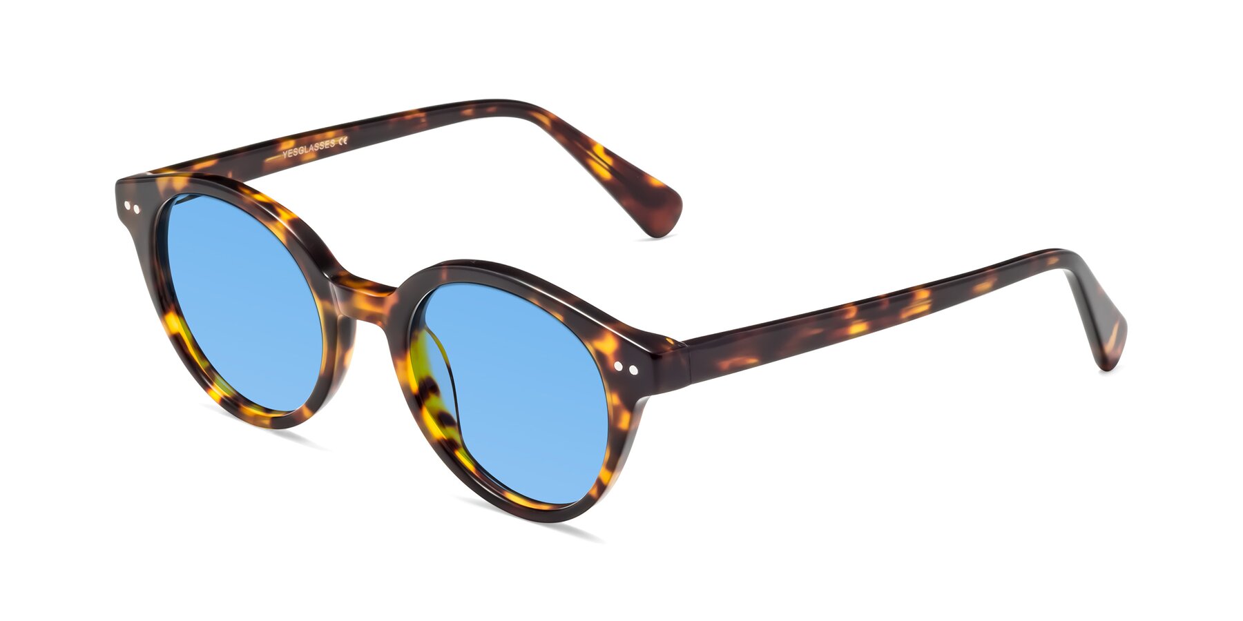 Angle of Bellion in Tortoise with Medium Blue Tinted Lenses