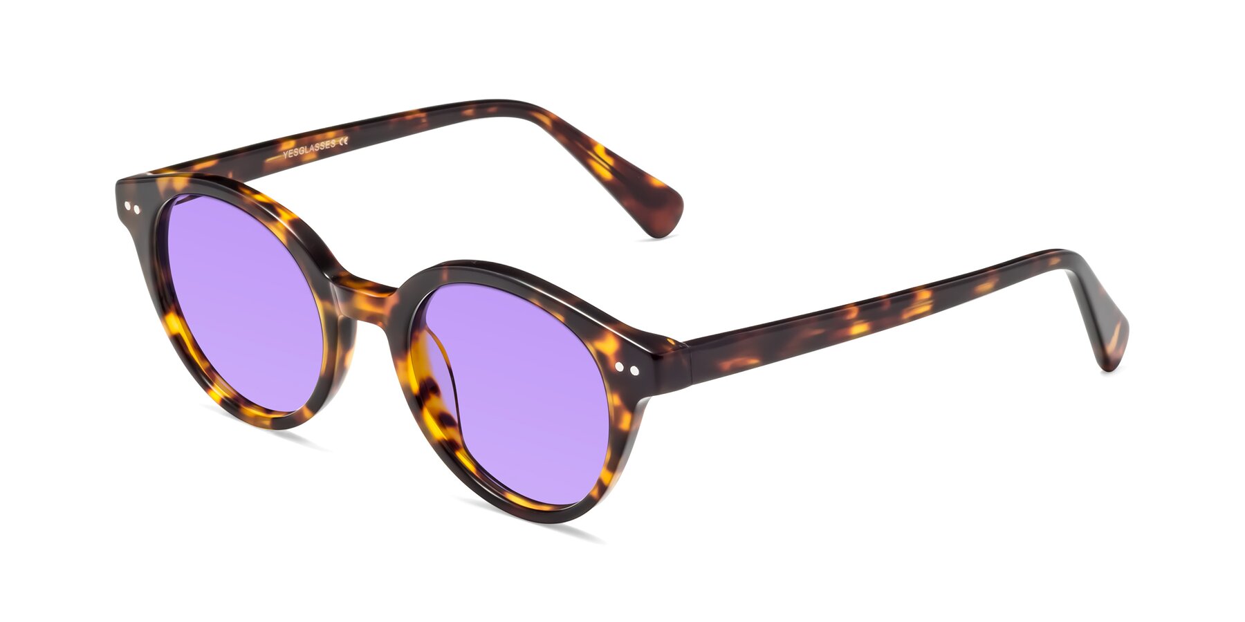 Angle of Bellion in Tortoise with Medium Purple Tinted Lenses
