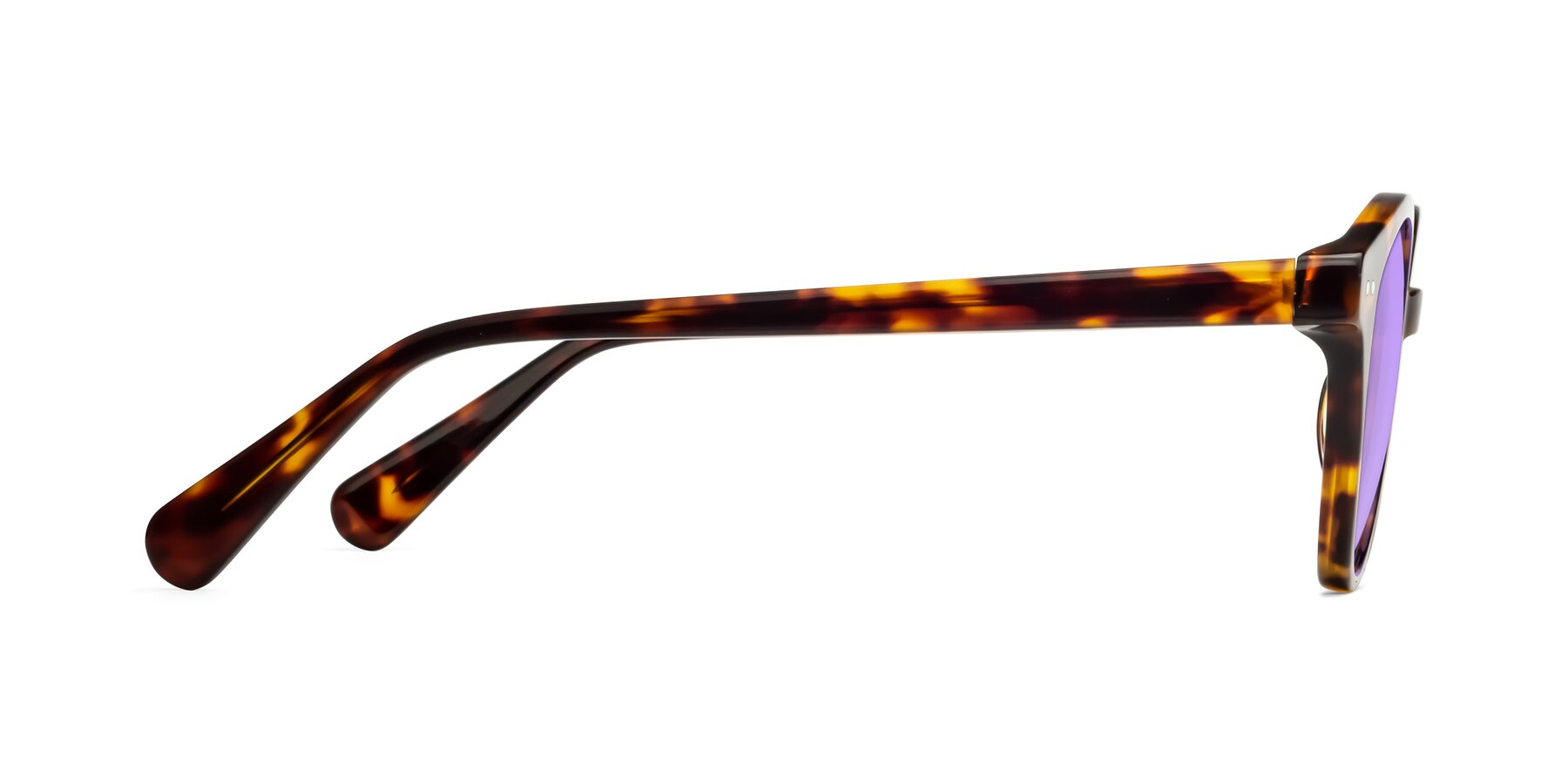 Side of Bellion in Tortoise with Medium Purple Tinted Lenses