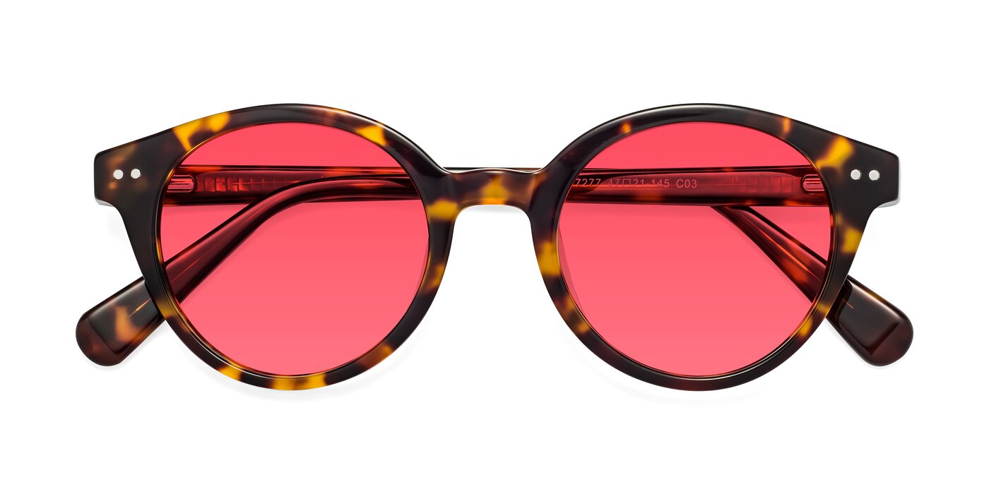 17277 - Tortoise Tinted Sunglasses