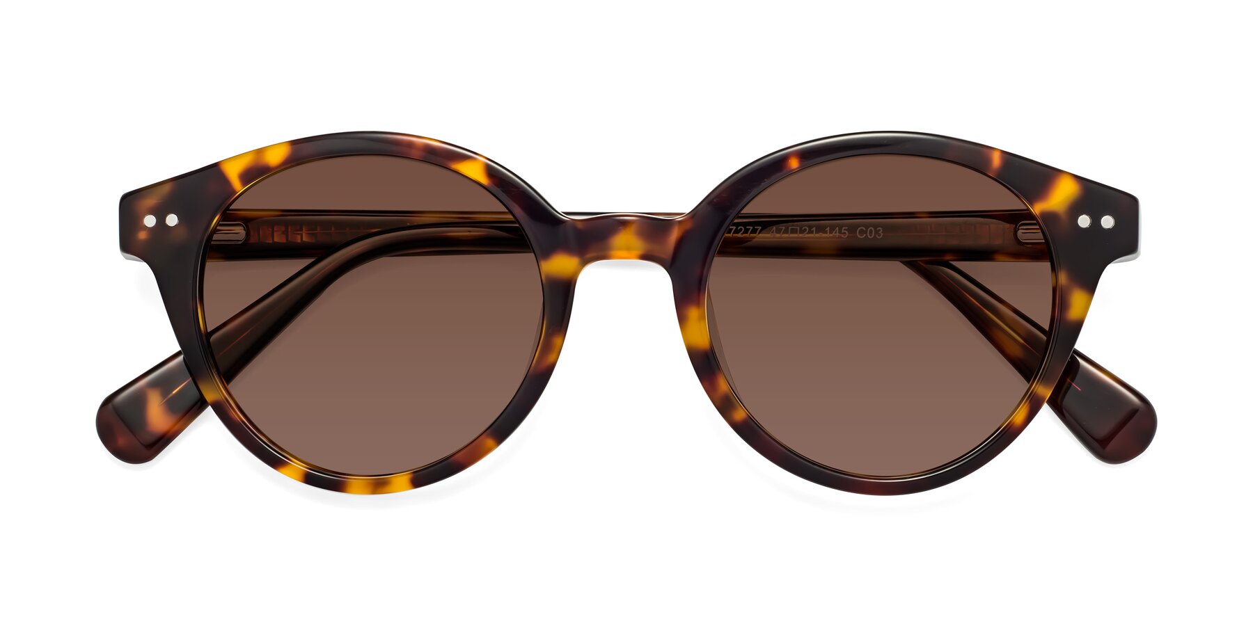 Folded Front of Bellion in Tortoise with Brown Tinted Lenses