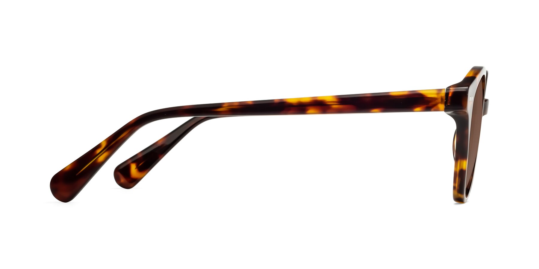 Side of Bellion in Tortoise with Brown Tinted Lenses