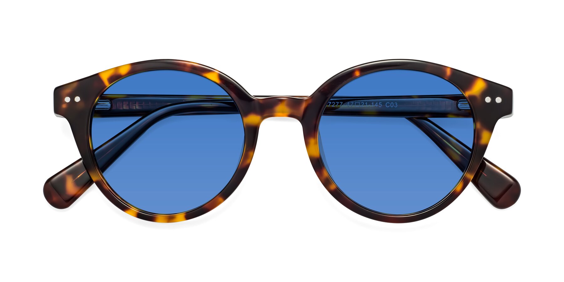 Folded Front of Bellion in Tortoise with Blue Tinted Lenses