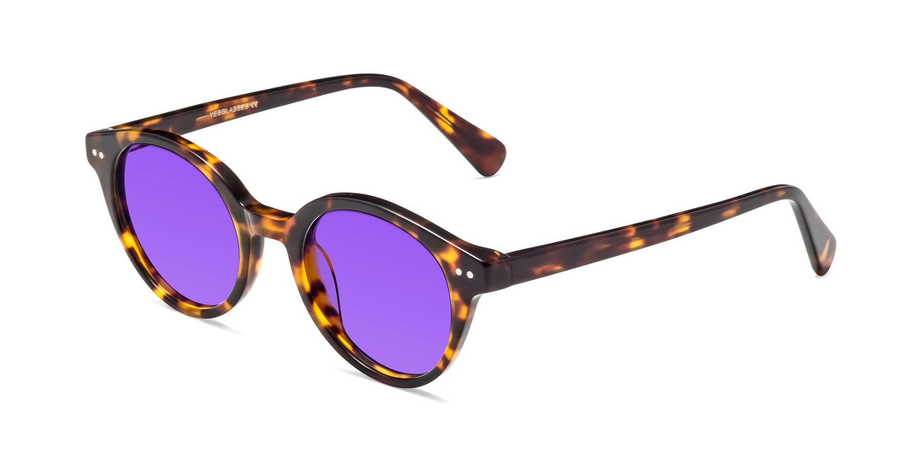 Angle of Bellion in Tortoise with Purple Tinted Lenses